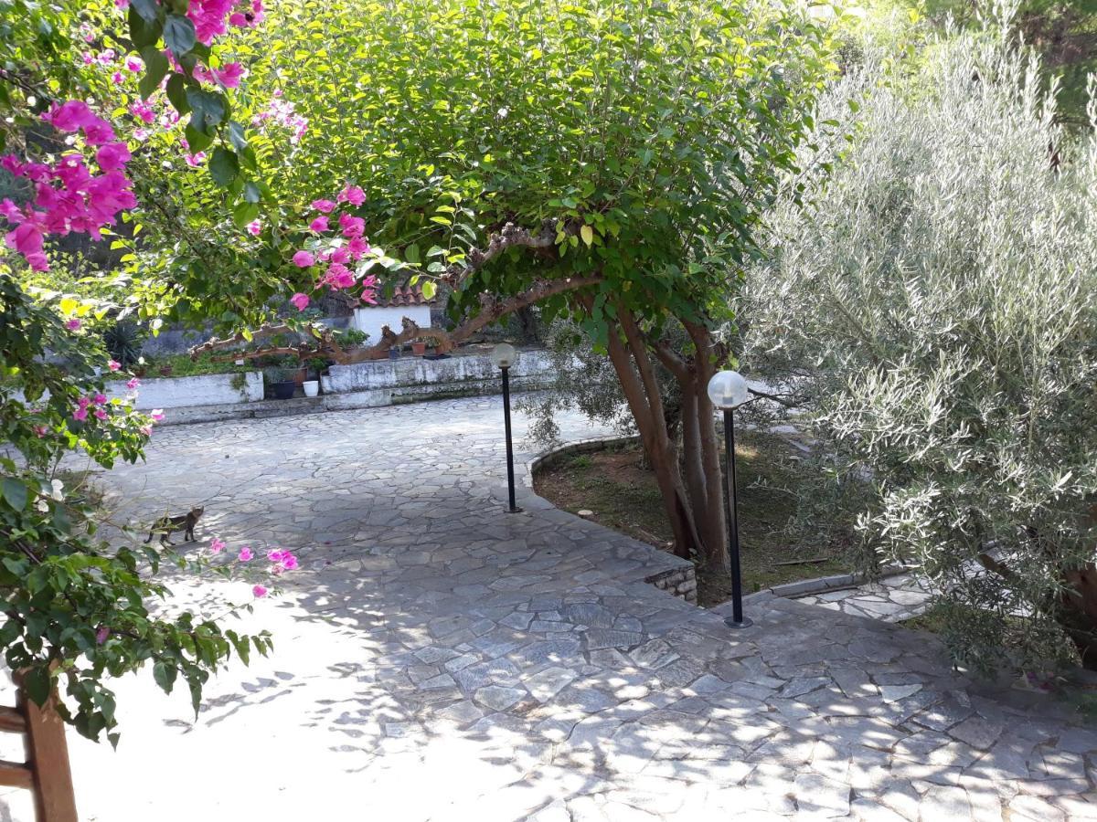 דירות Ária Σπίτι Σε Ελαιώνα, House In An Olive Grove מראה חיצוני תמונה