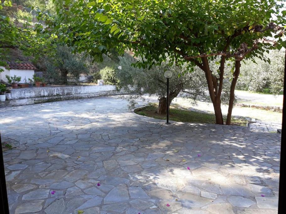 דירות Ária Σπίτι Σε Ελαιώνα, House In An Olive Grove מראה חיצוני תמונה
